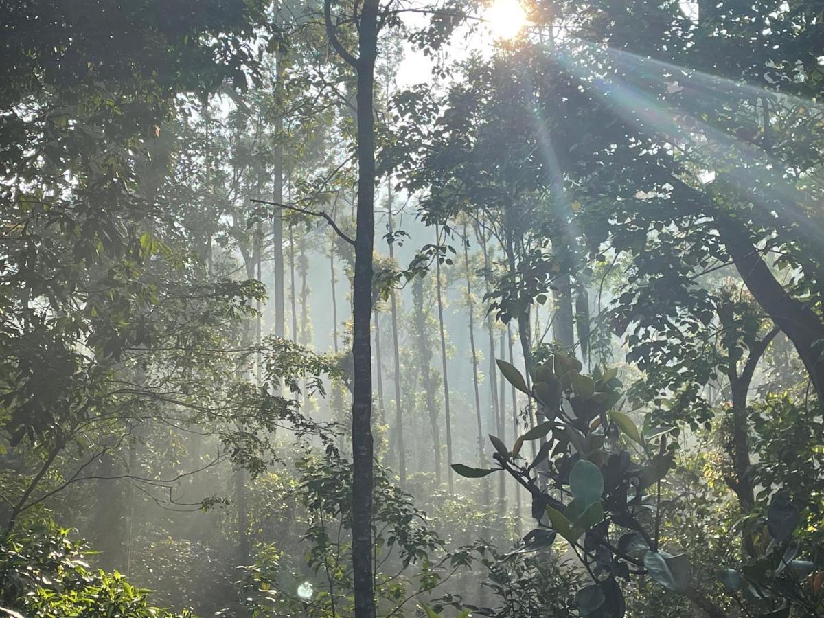 Rai'S Coorg Cave House Villa Madikeri Dış mekan fotoğraf